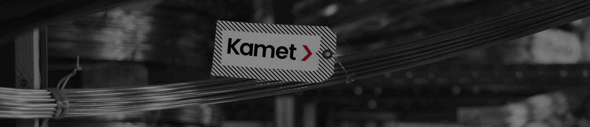 Kamet Logo for Pt100 sensors rtd platinum sensor